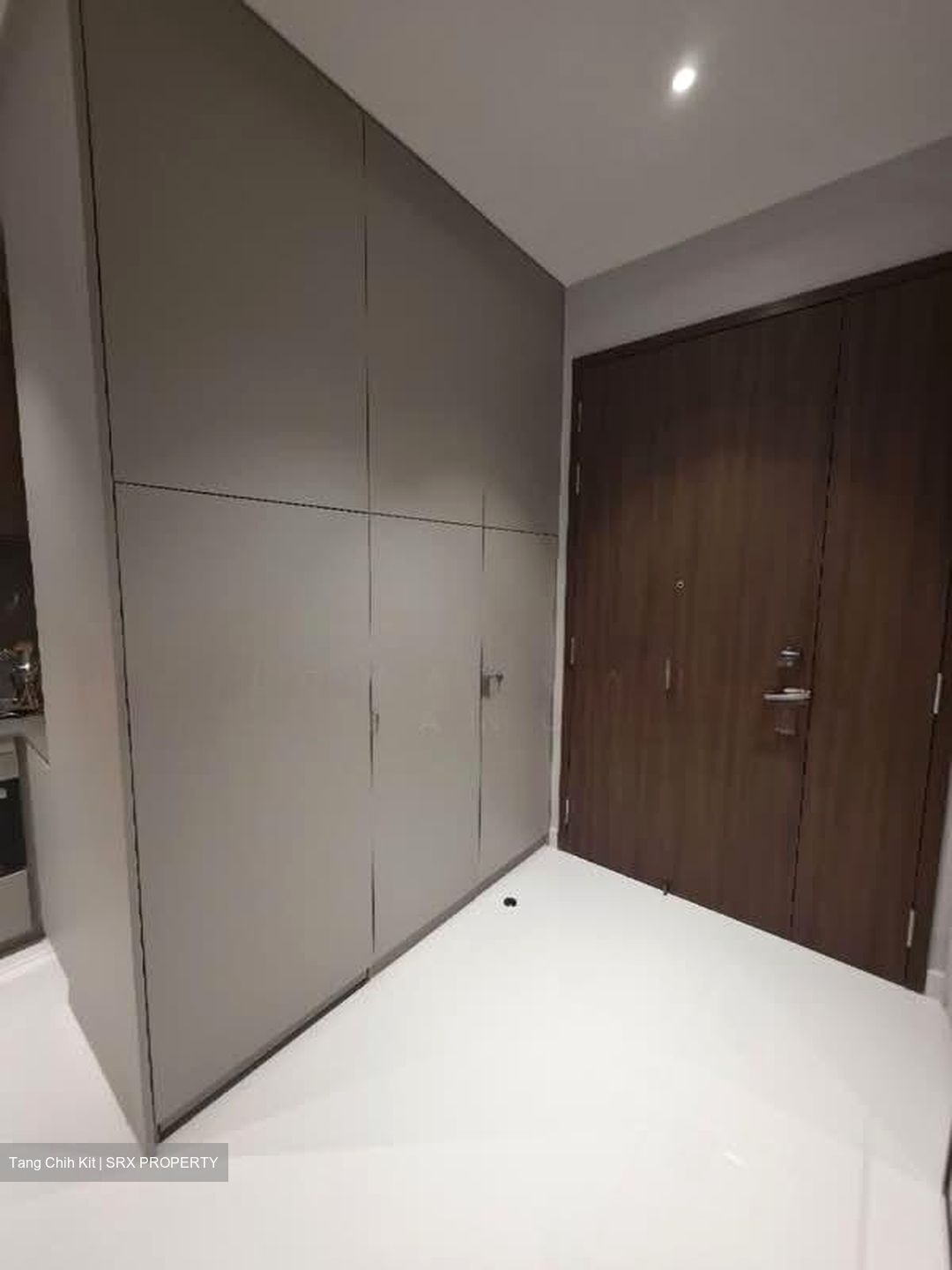 Parksuites (D10), Apartment #578992031